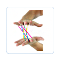 Fine Motor